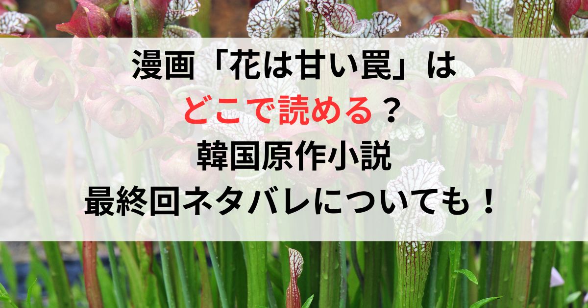 漫画　花は甘い罠はどこで読める？韓国原作小説最終回ネタバレについても！